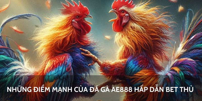 Những ưu điểm nổi bật của đá gà AE888 thu hút người chơi cá cược