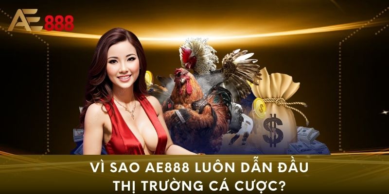 Vì sao AE888 luôn dẫn đầu thị trường cá cược?